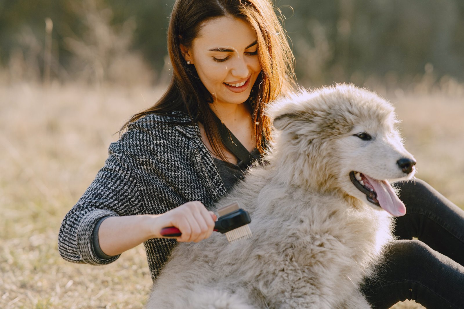 pet care